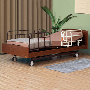 Five Function Extra Low Electric Bed