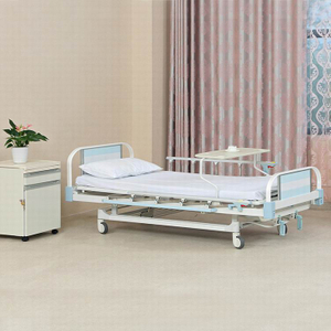 Two Function Manual Bed