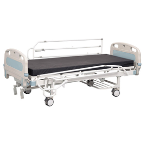 Two Function Manual Bed