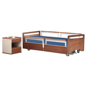 Five Function Electric Bed